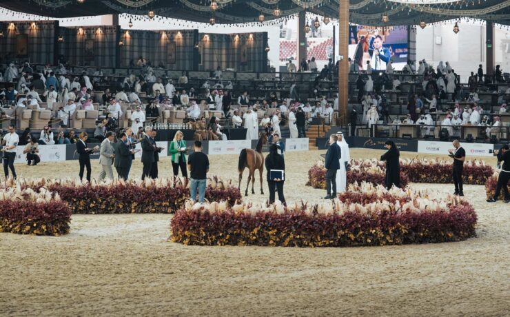 Day 1 - Yearling Fillies