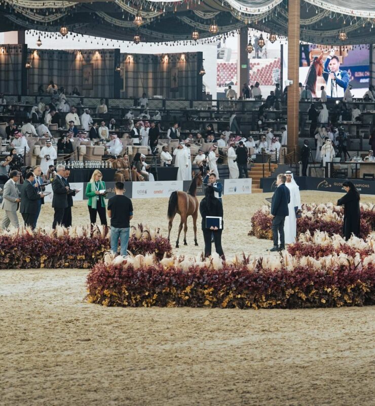 Day 1 - Yearling Fillies